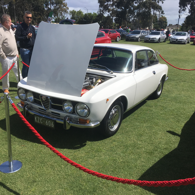 Illustration for article titled Alfa car show pic dump